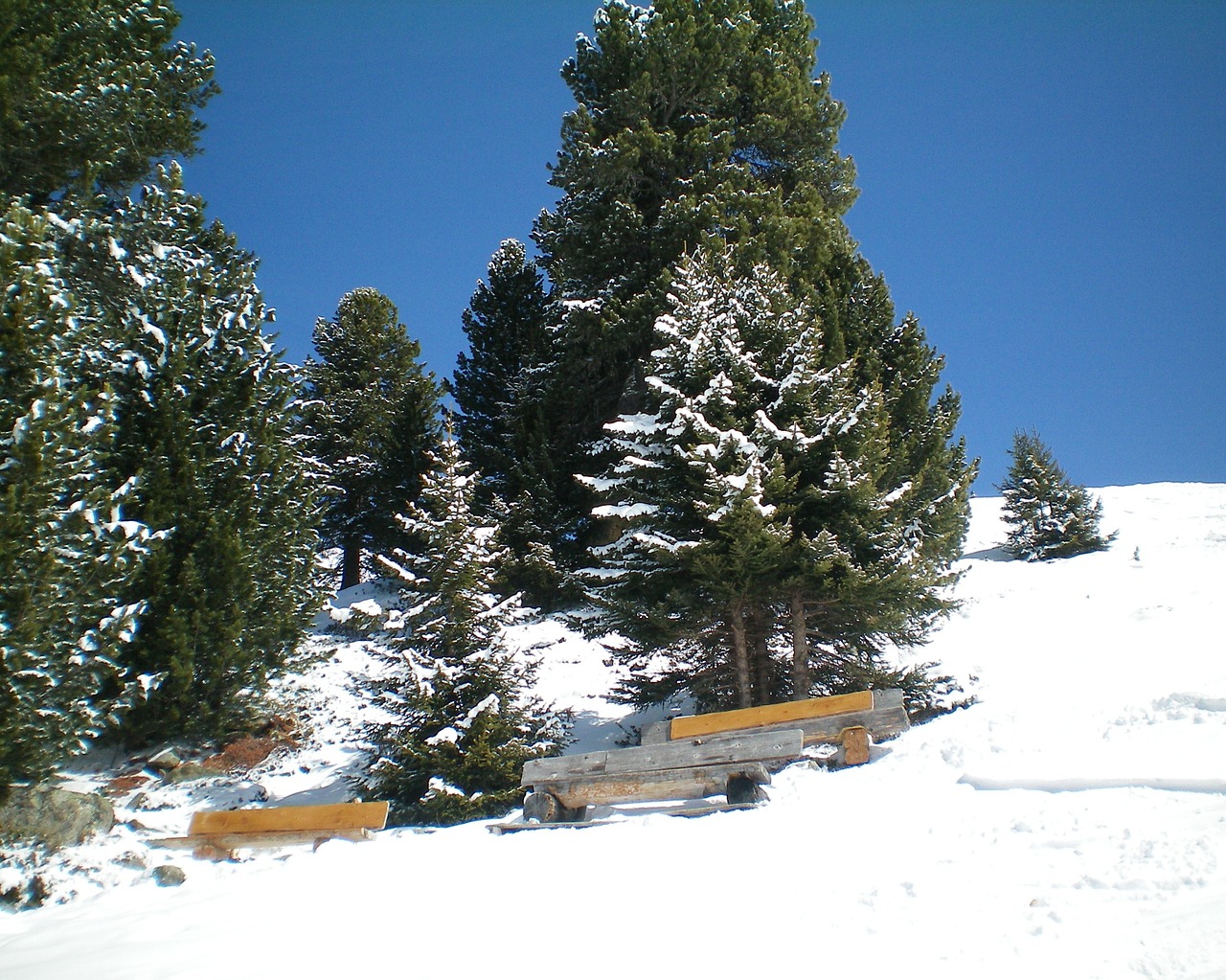 winter snow bench free photo