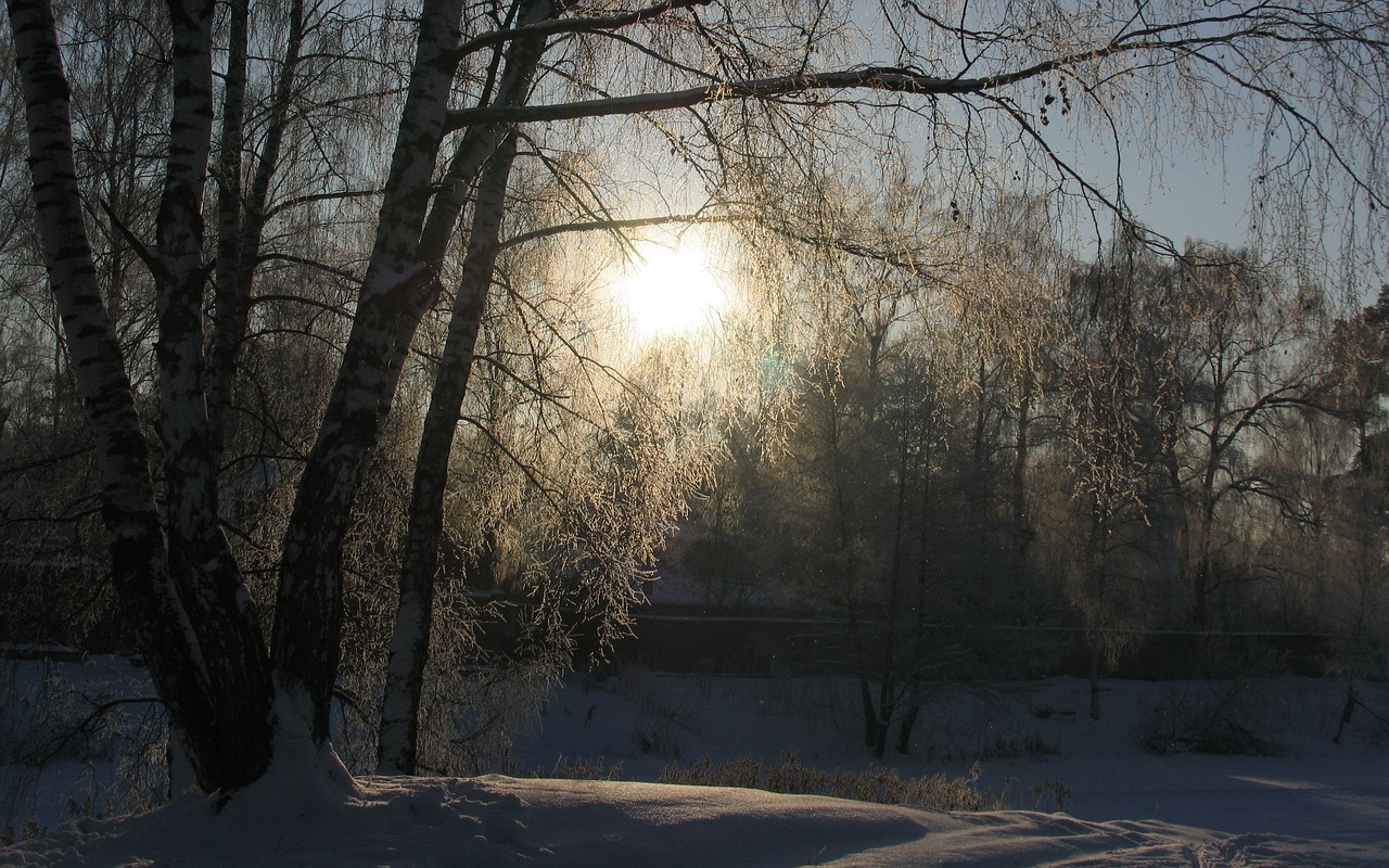 winter snow sun free photo