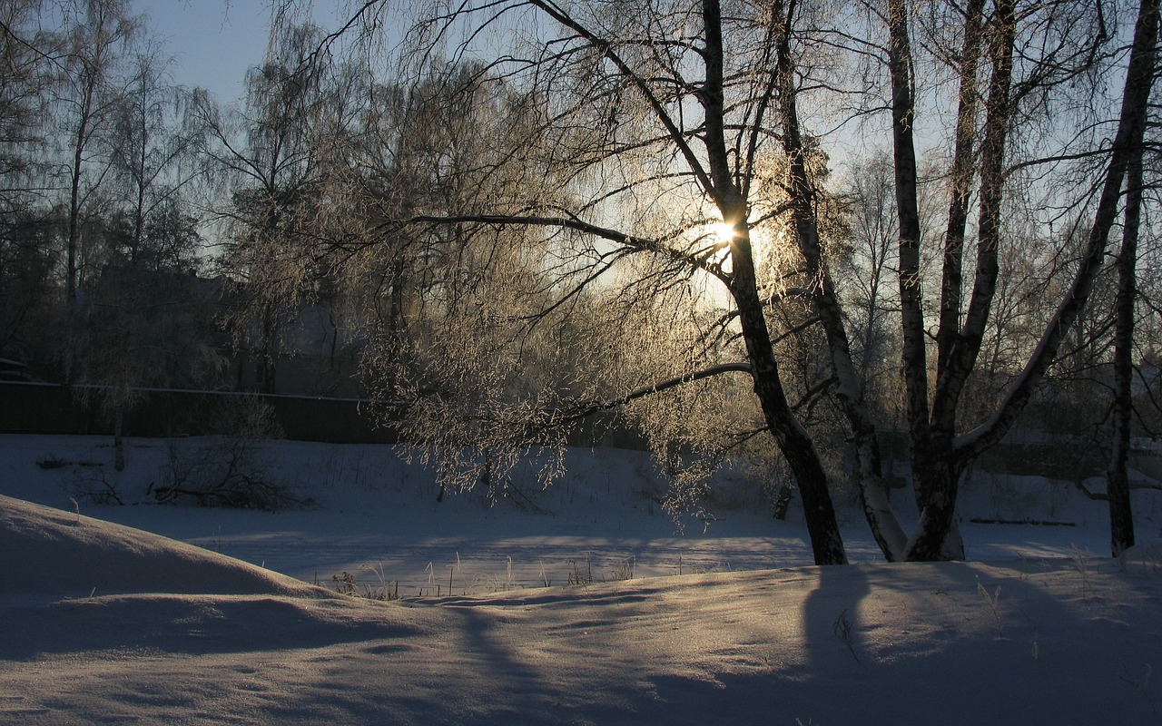 winter snow sun free photo