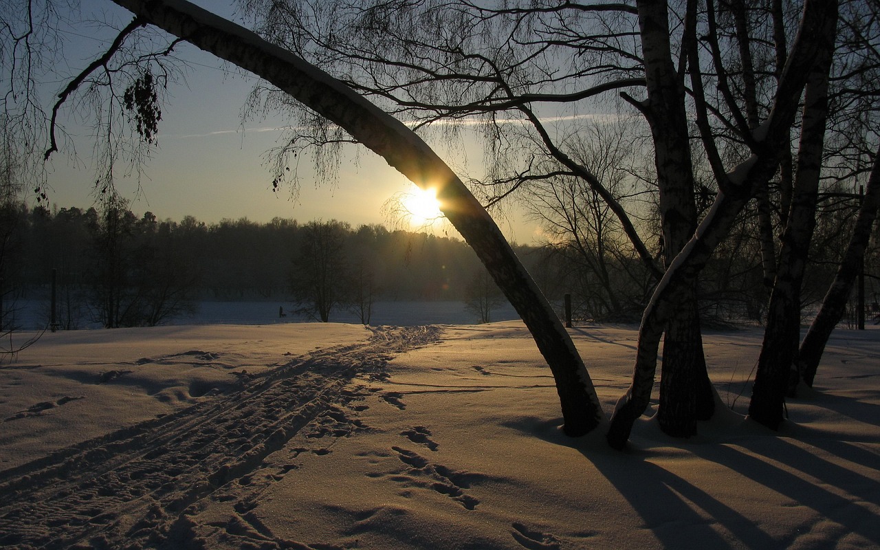 winter snow sun free photo