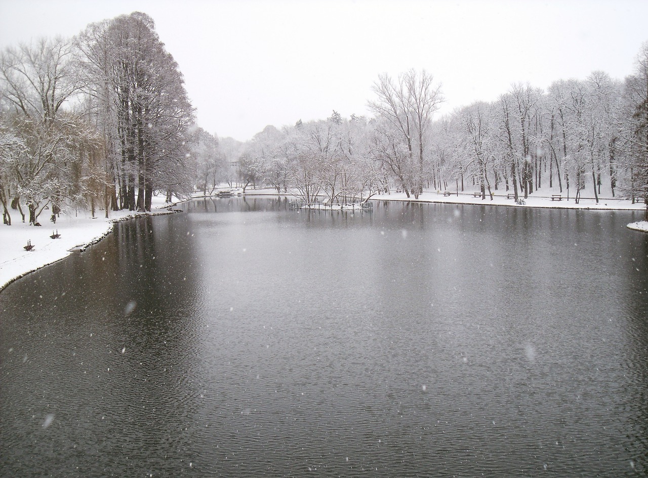 winter lake water free photo