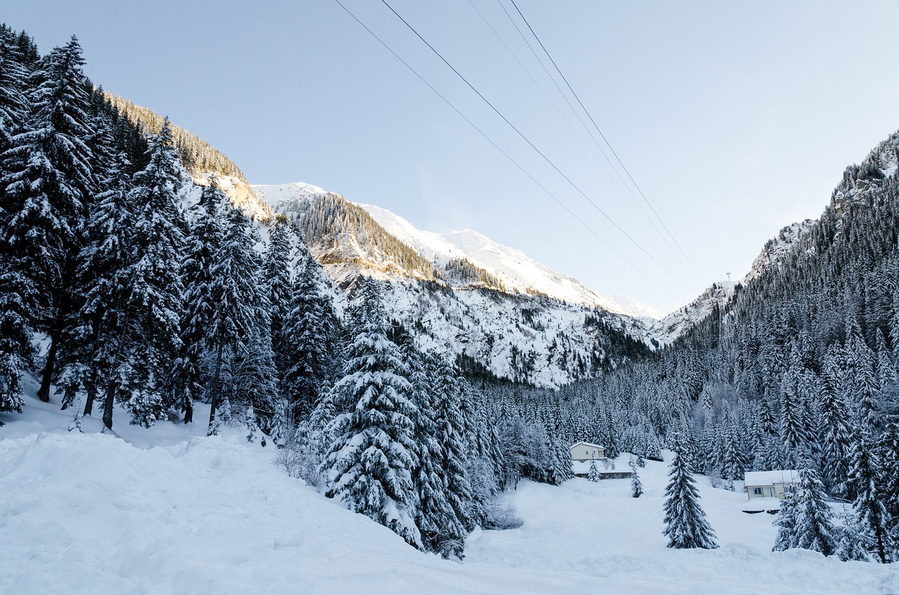 winter landscape mountain free photo