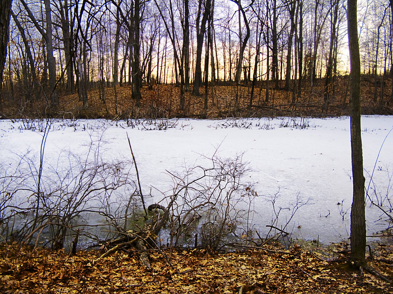 winter sunset landscape free photo