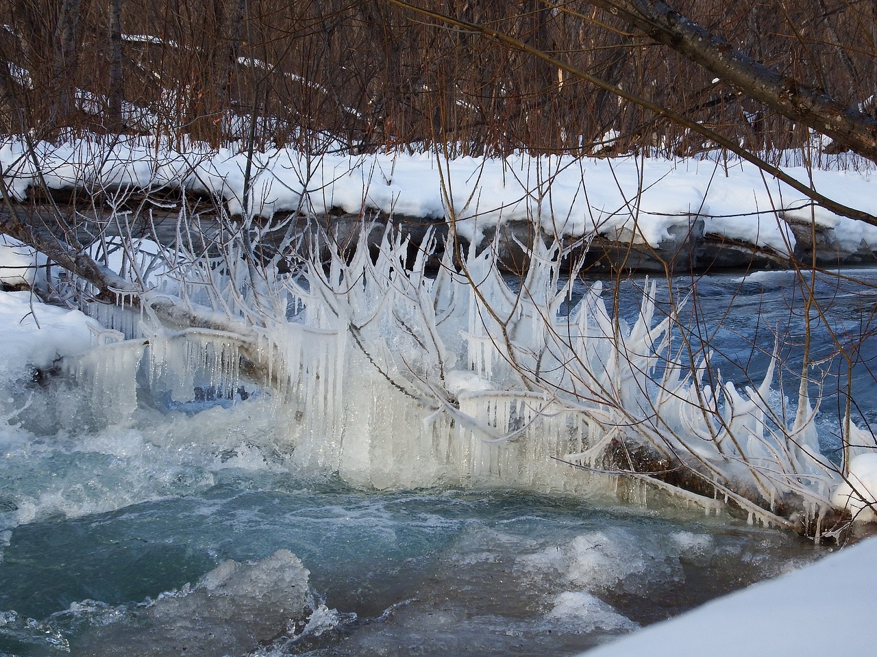 winter snow frost free photo