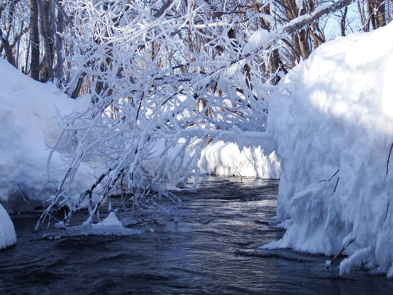 winter snow frost free photo