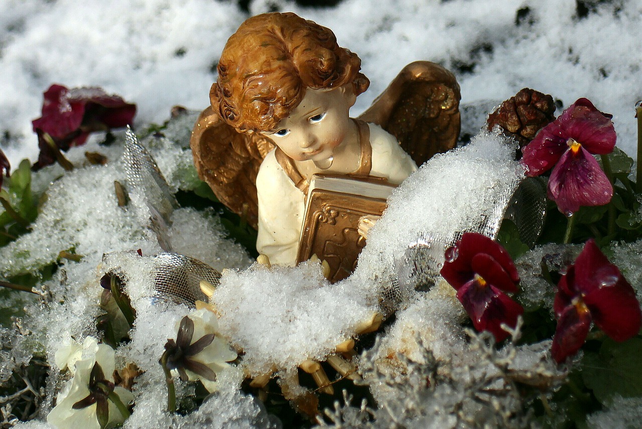 winter snow angel free photo