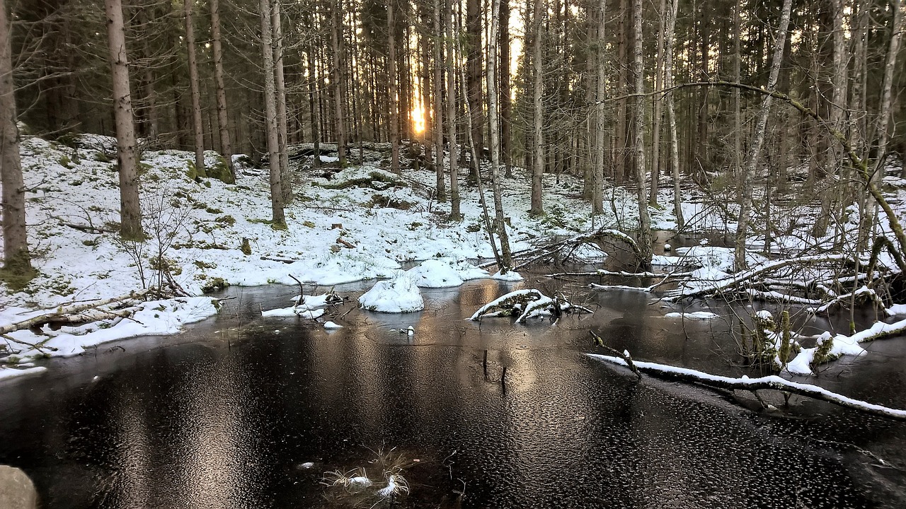 winter frozen lake free photo