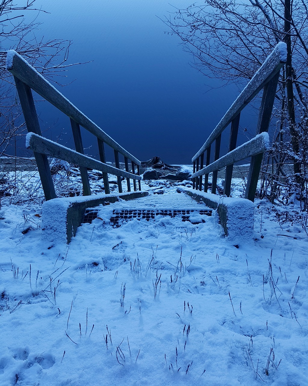 winter nature lake free photo