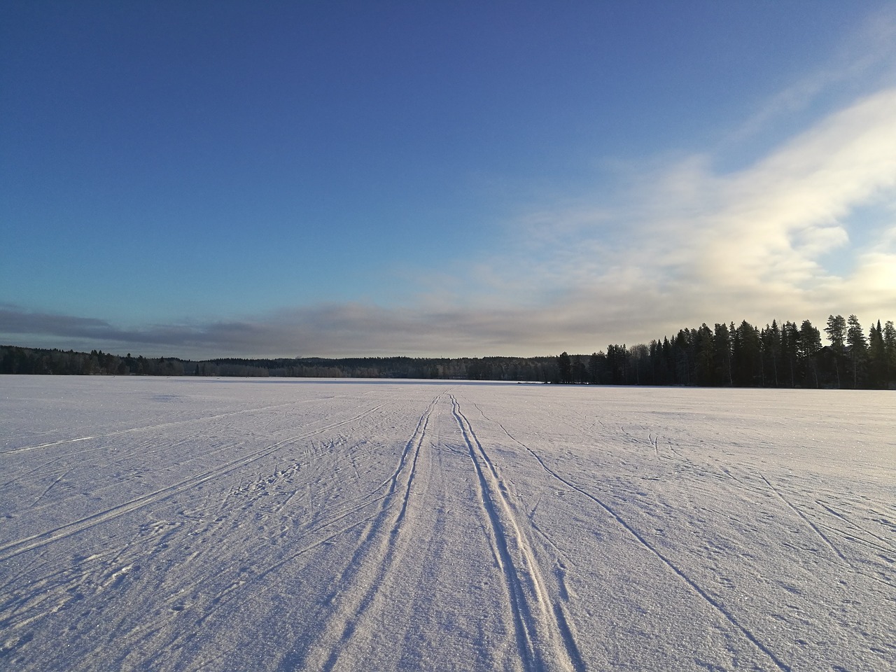 winter nature cold free photo