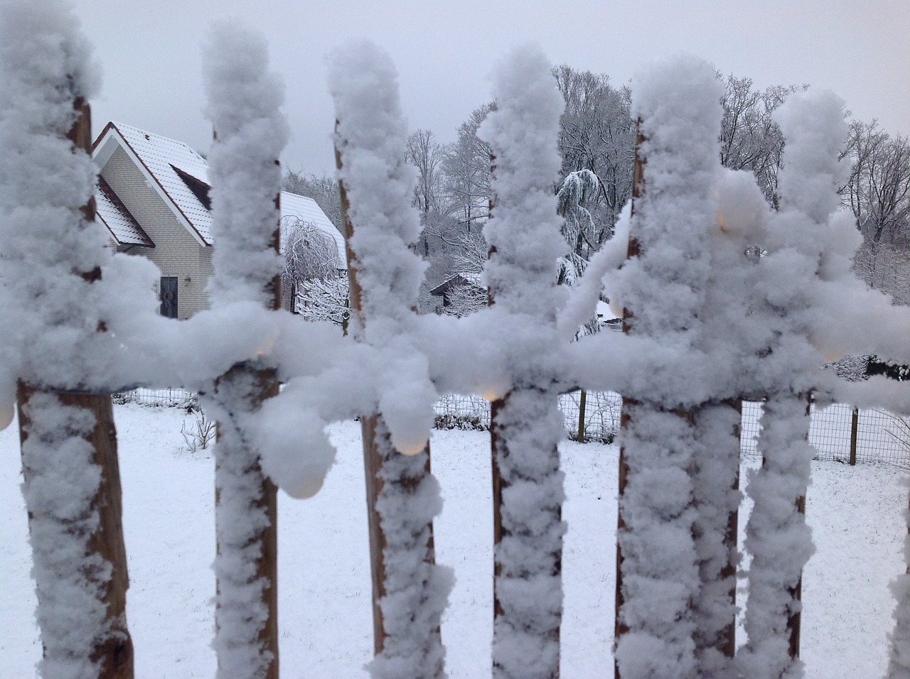 winter fence snow free photo