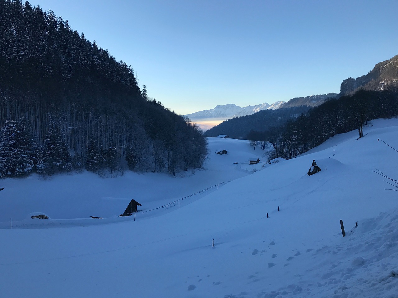 winter forest mountains free photo