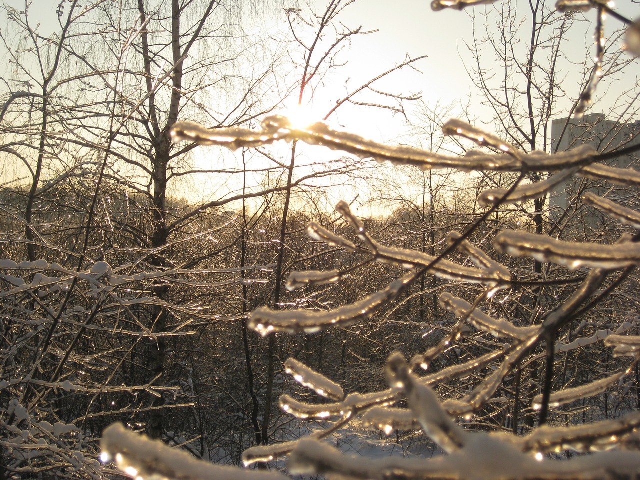 winter spring freezing rain free photo