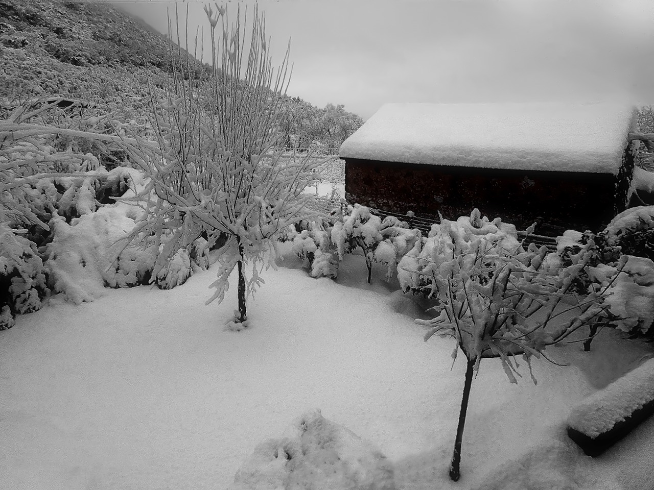 winter snow castrocielo free photo