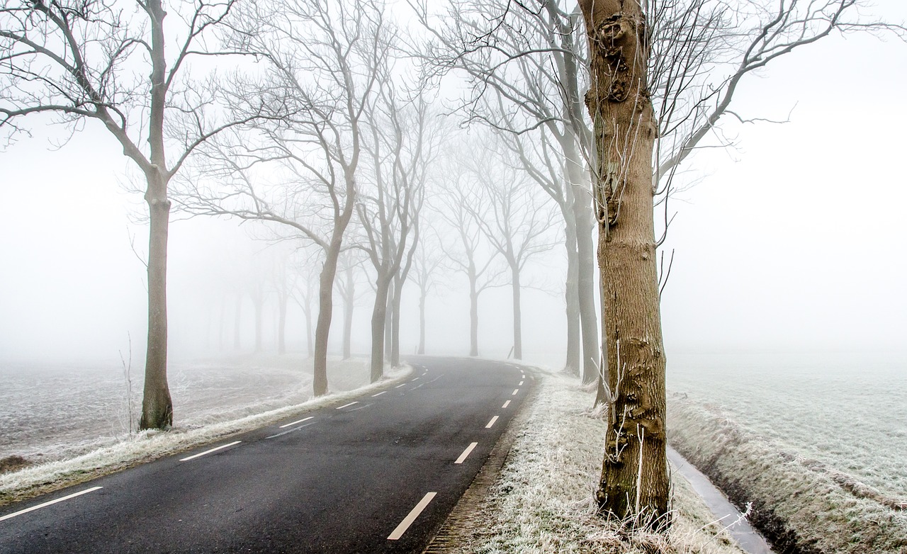 winter road scene free photo