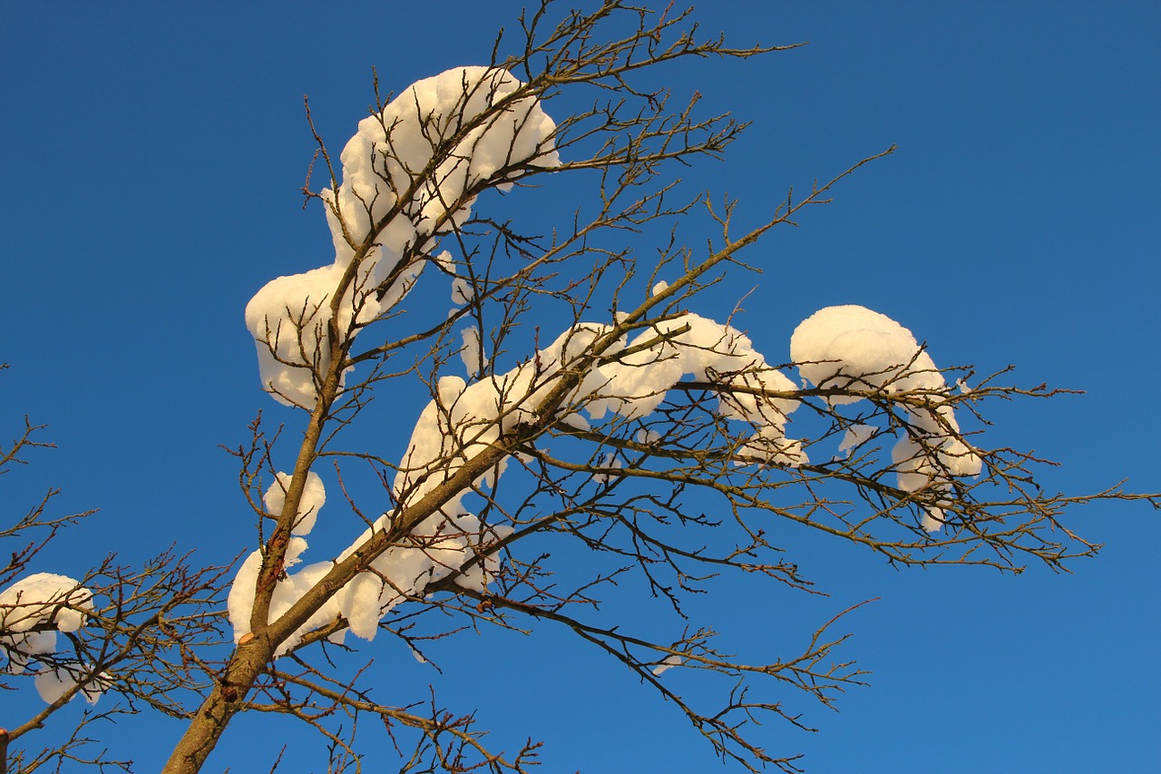 winter snow sky free photo