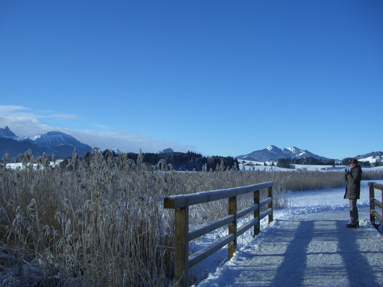 winter alpine panorama lake free photo
