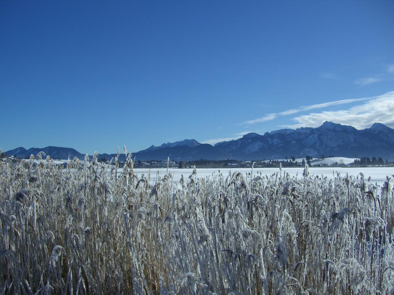 winter alpine panorama lake free photo