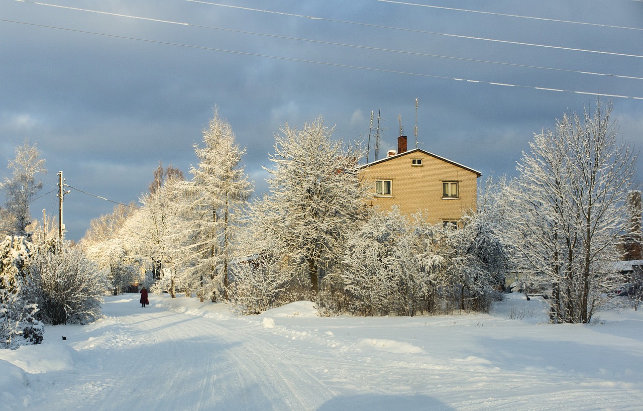 winter snow white free photo