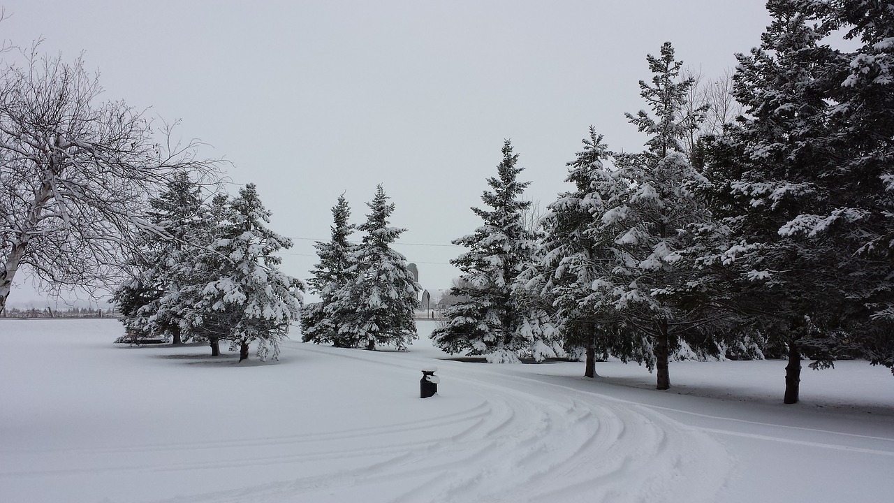 winter scenery snow free photo