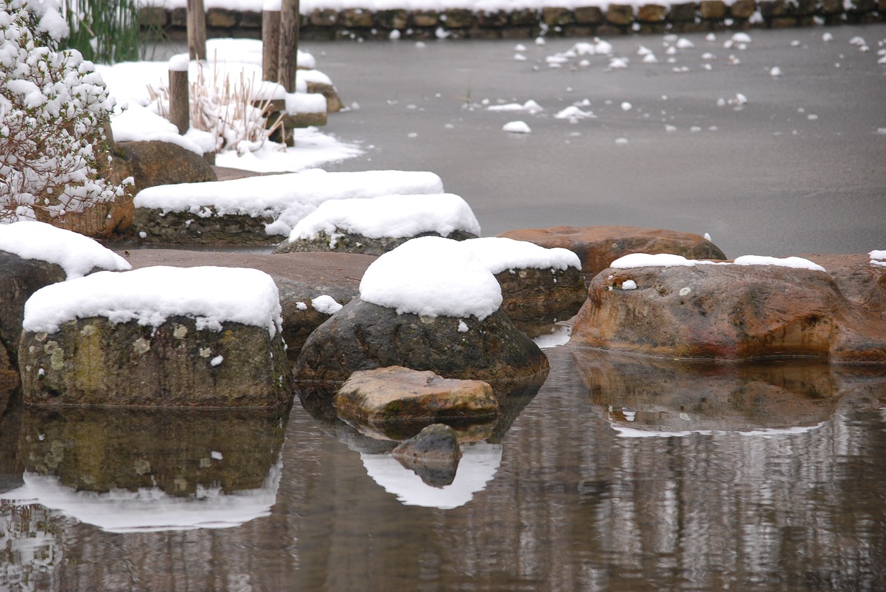 winter snow pond free photo