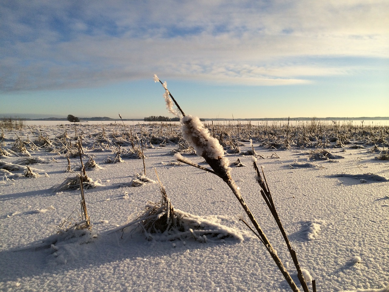 winter finnish frost free photo