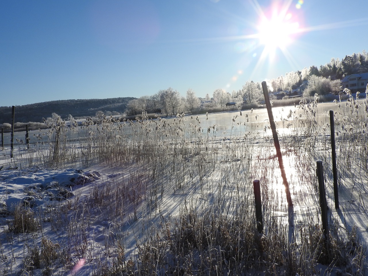 winter snow cold free photo