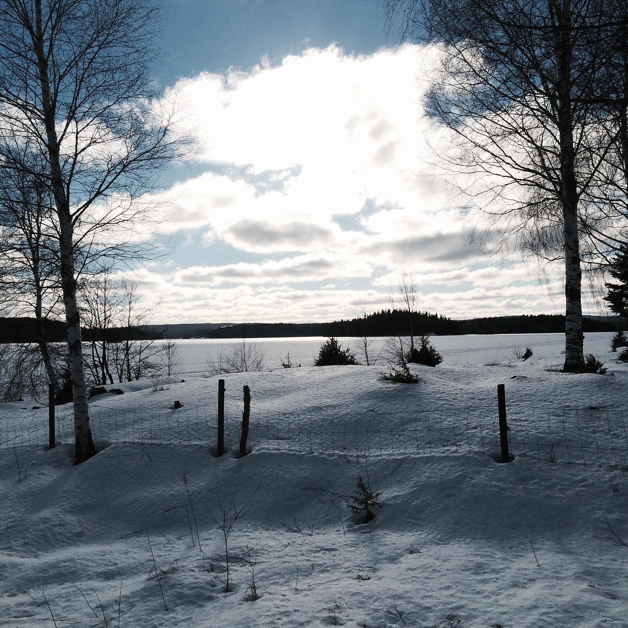 winter snow lake free photo