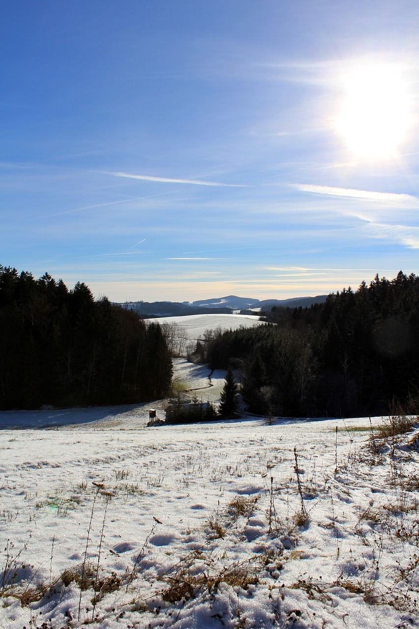 winter niederbayern bavaria free photo