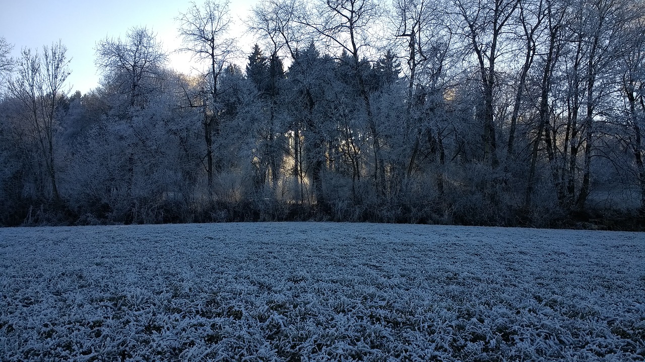 winter landscape sun free photo