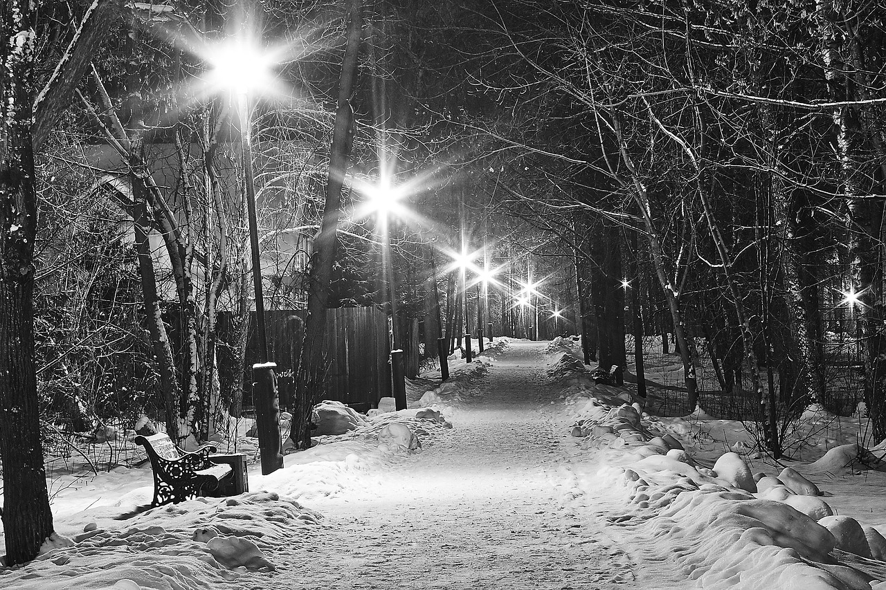 winter street night free photo