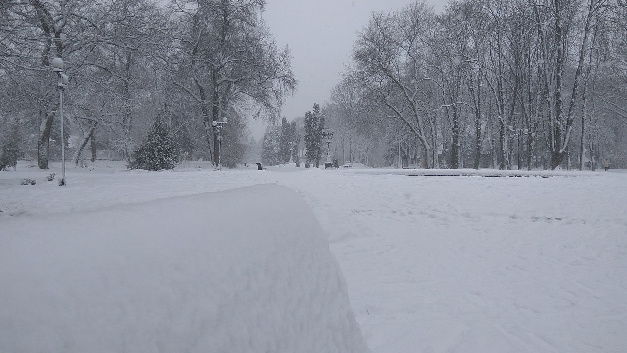 winter nature snow free photo