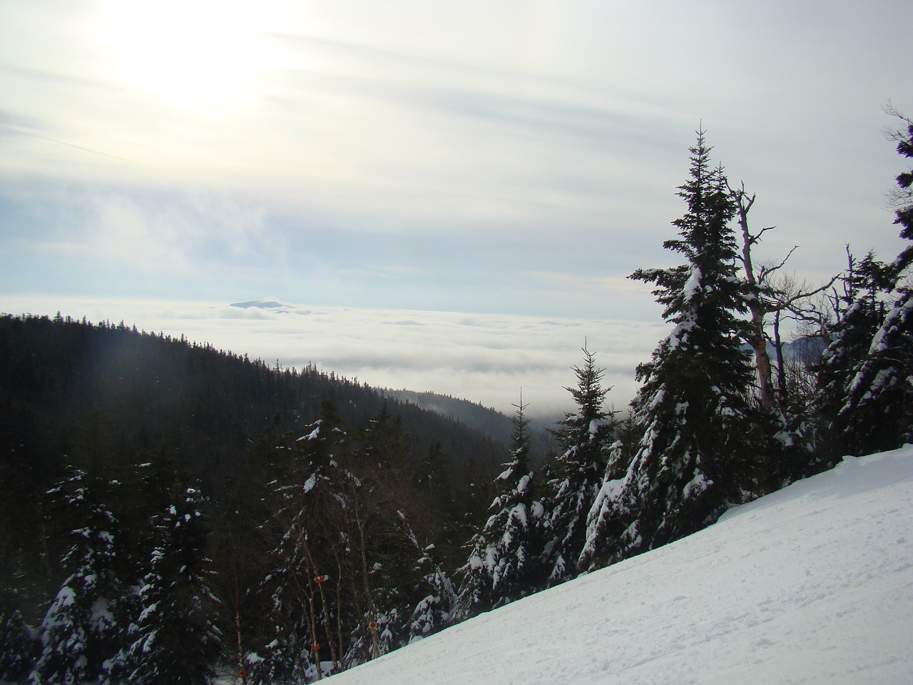 winter sky landscape free photo