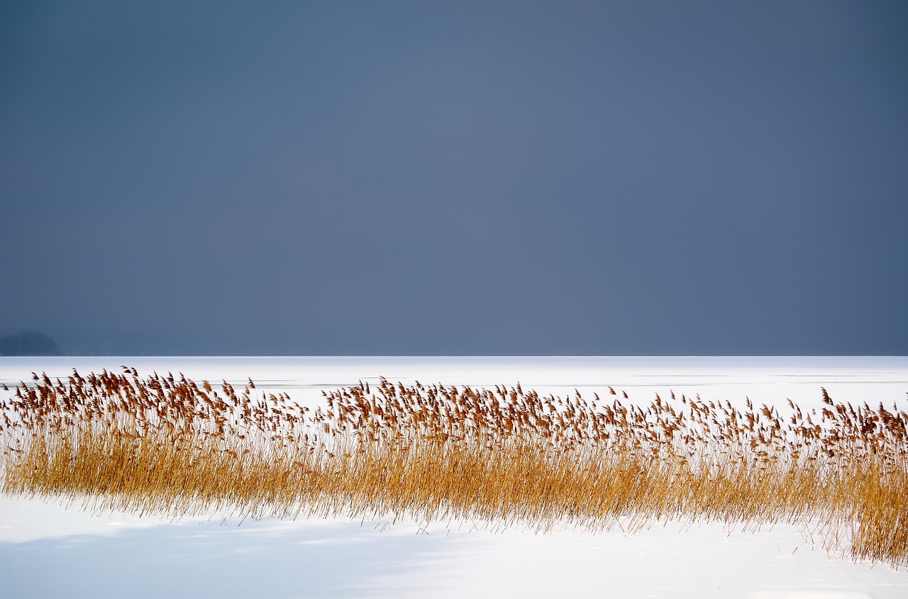 winter lake frozen free photo