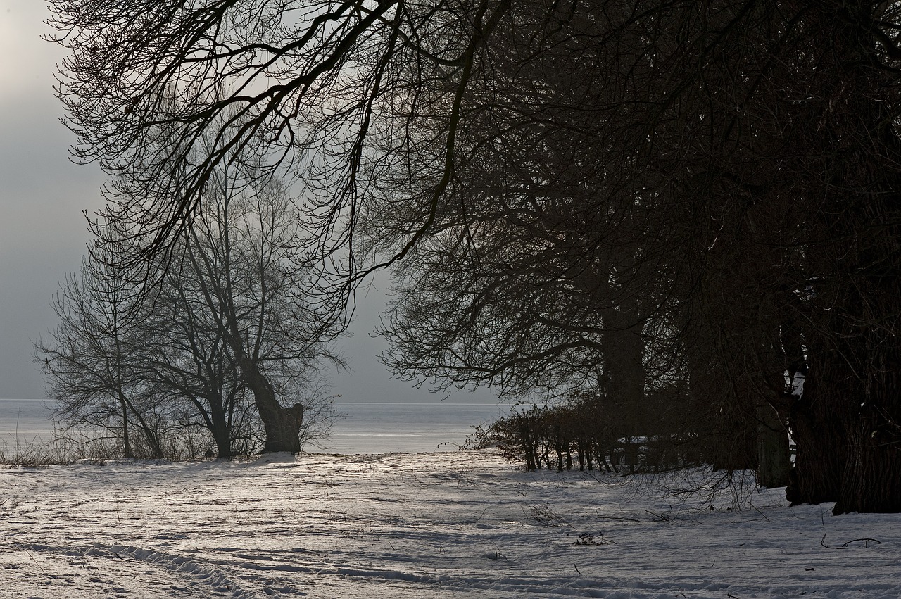 winter rügen baltic sea free photo