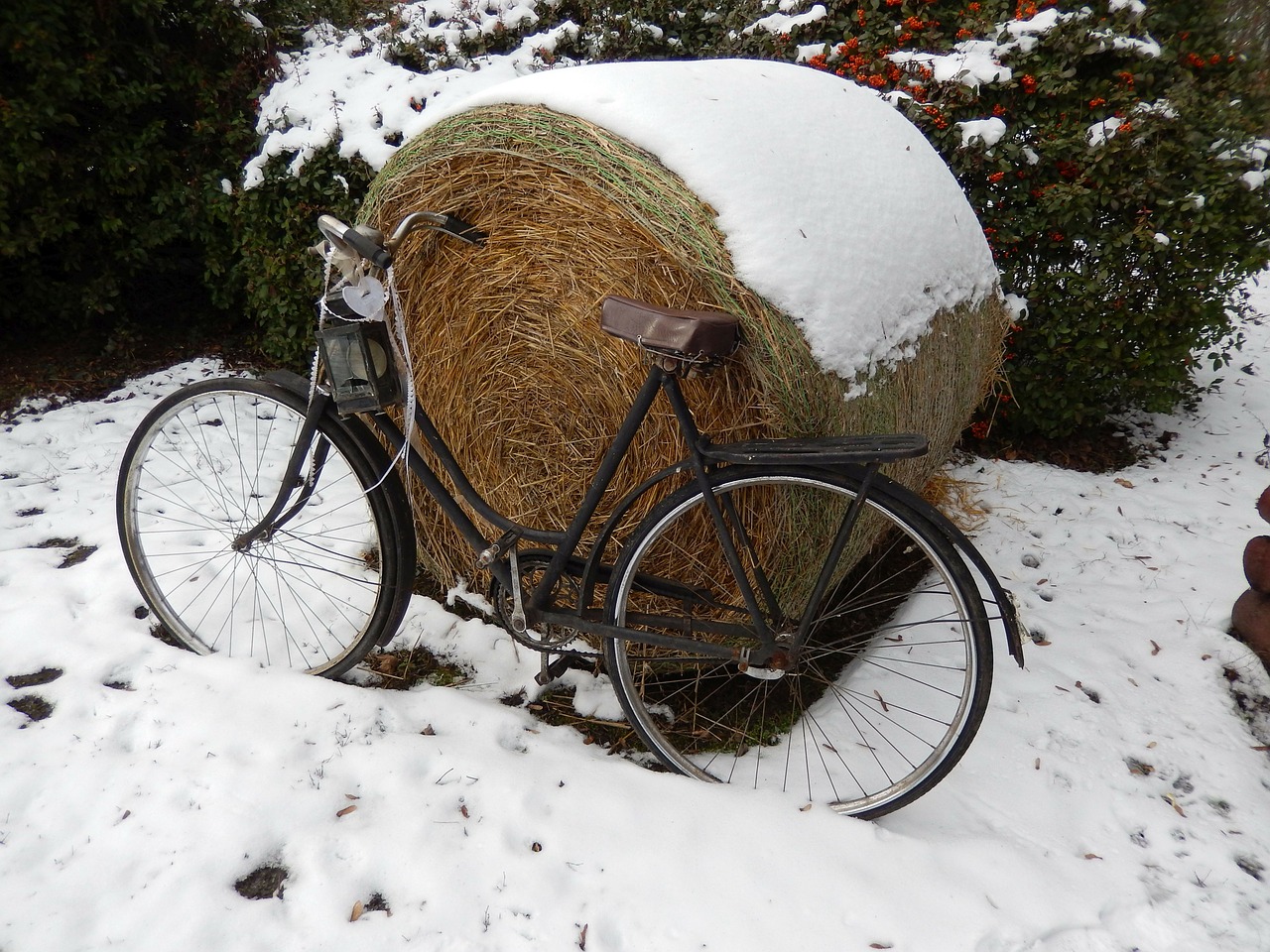 winter bike snow free photo