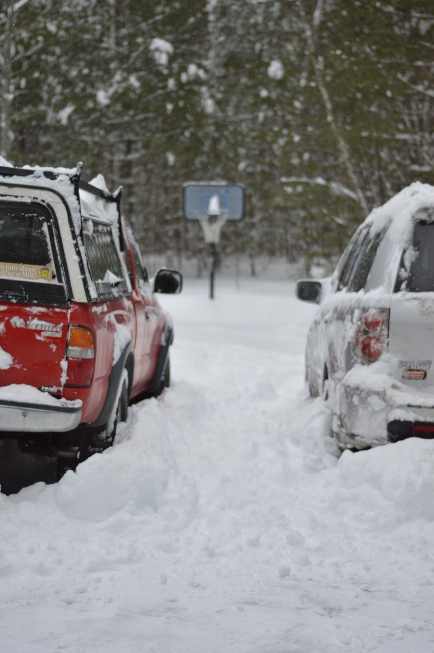 winter snow pickup free photo