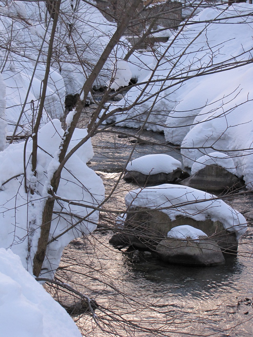 winter snow trail free photo