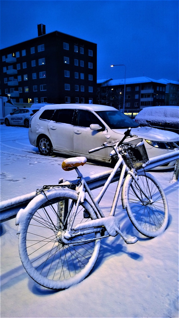 winter snow cycle free photo