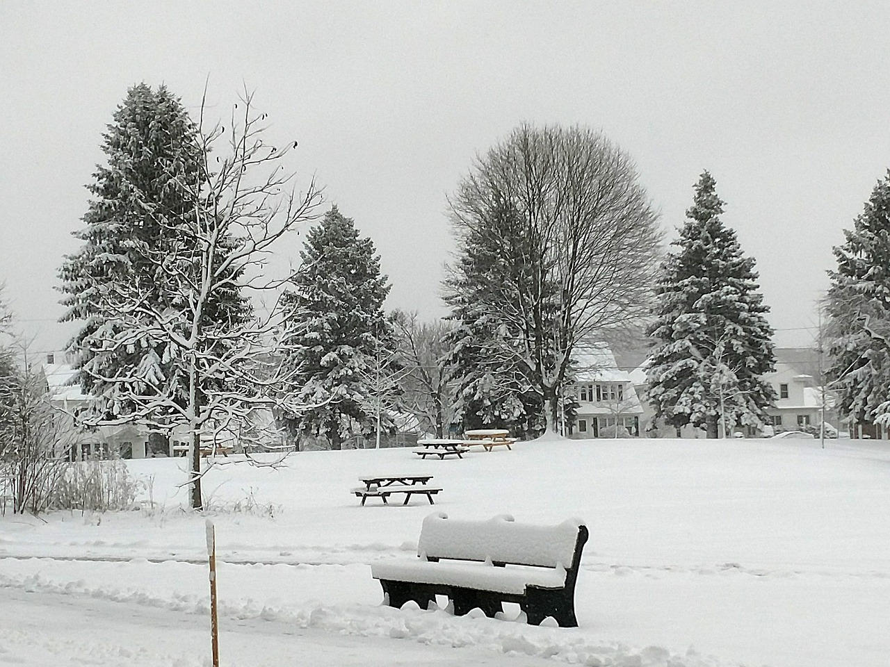 winter snow bench free photo