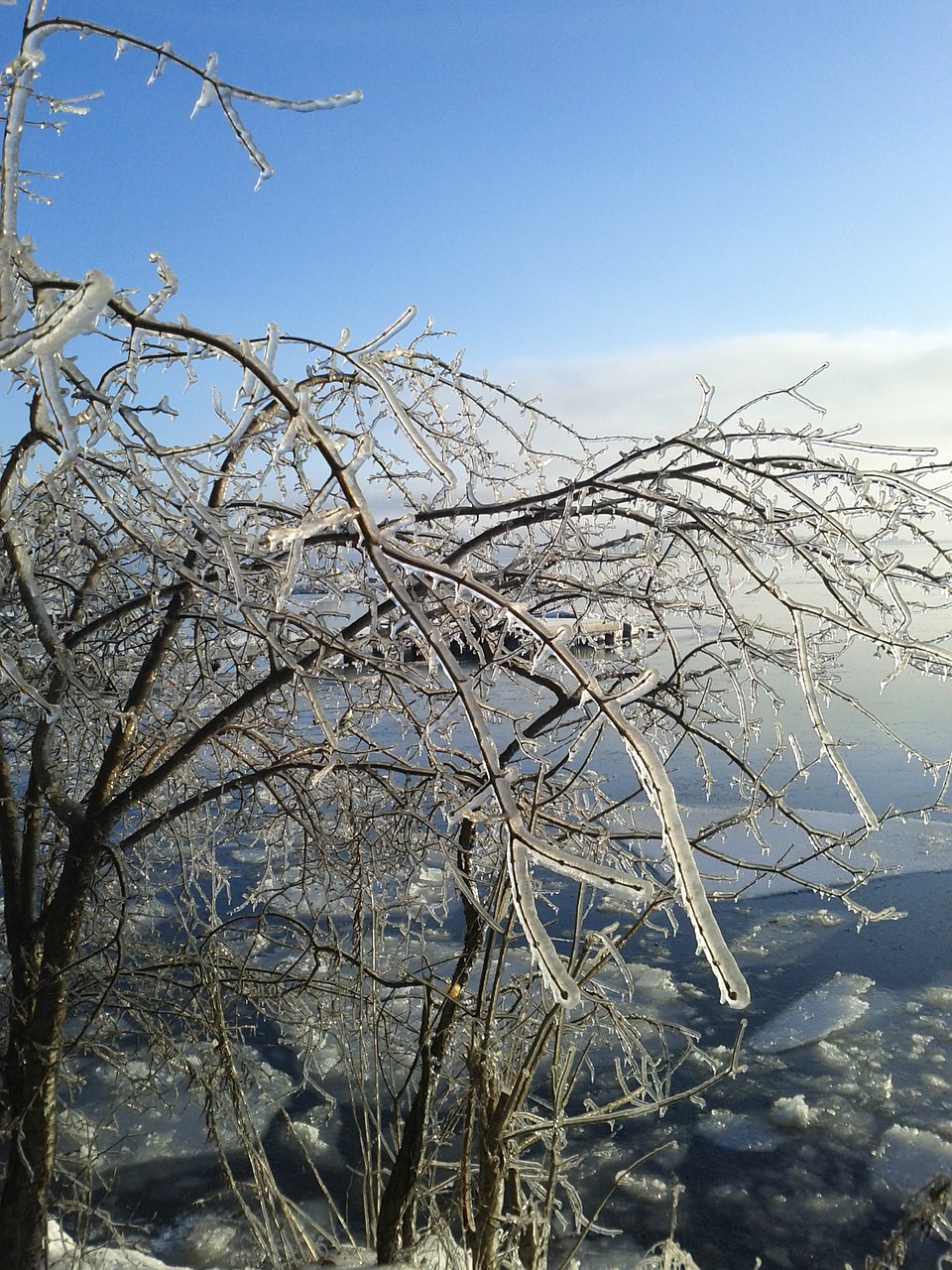 winter ice storm cold free photo