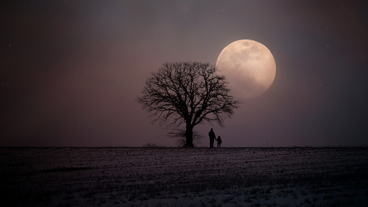 winter wintry moon free photo