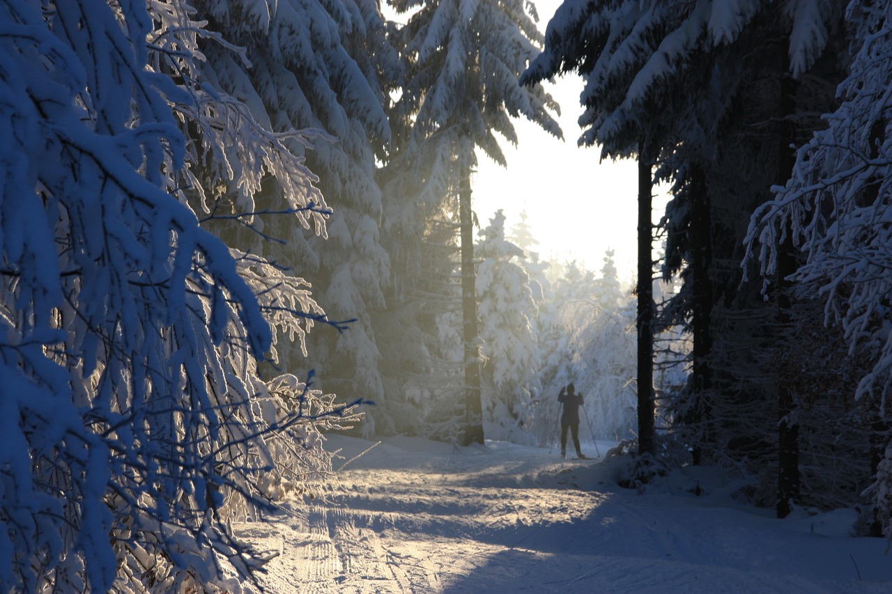 winter ore mountains snow free photo