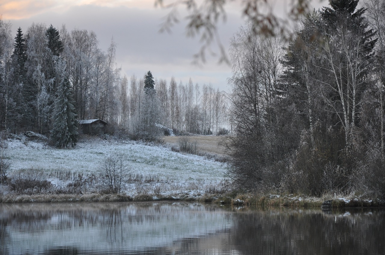 winter landscape snow free photo