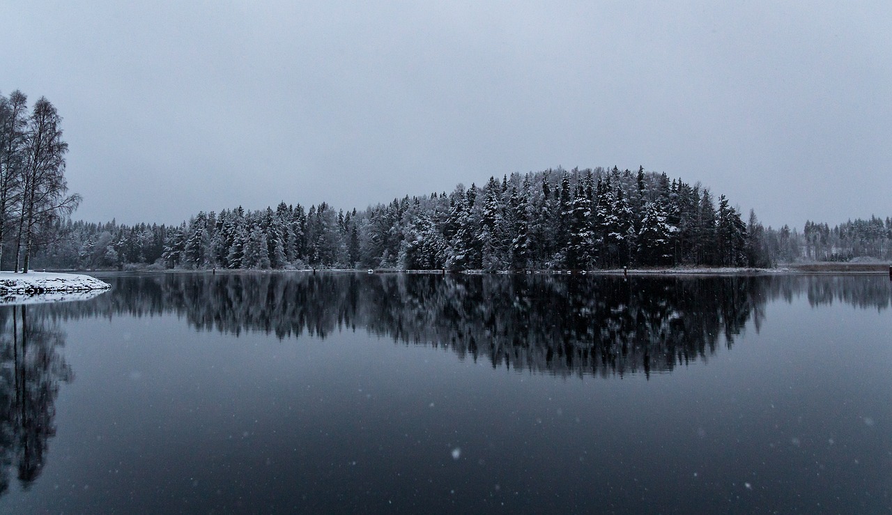 winter snow nature free photo