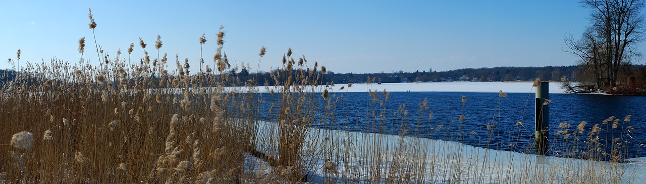 winter lake wintry free photo