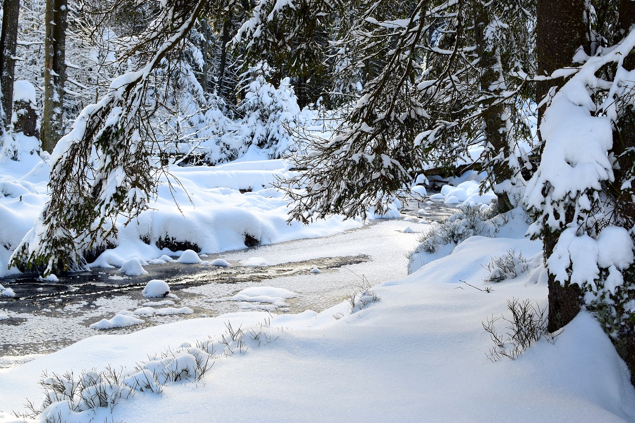 winter landscape snow free photo