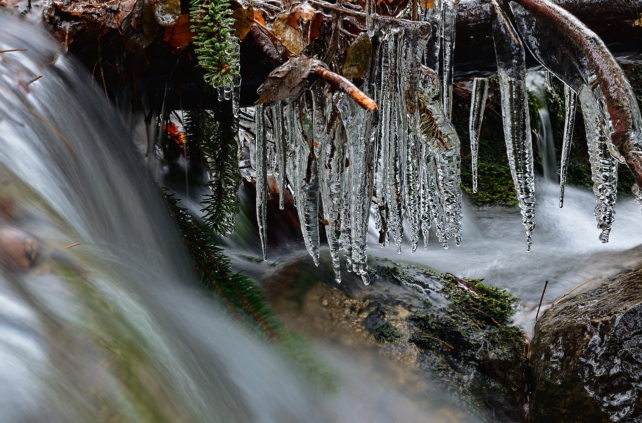 winter ice winter creek free photo