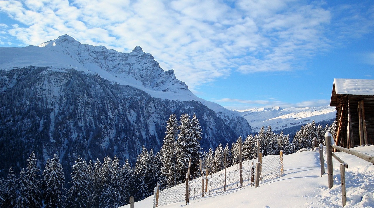 winter snow mountains free photo