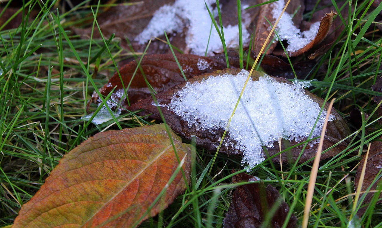 winter snow first snow free photo