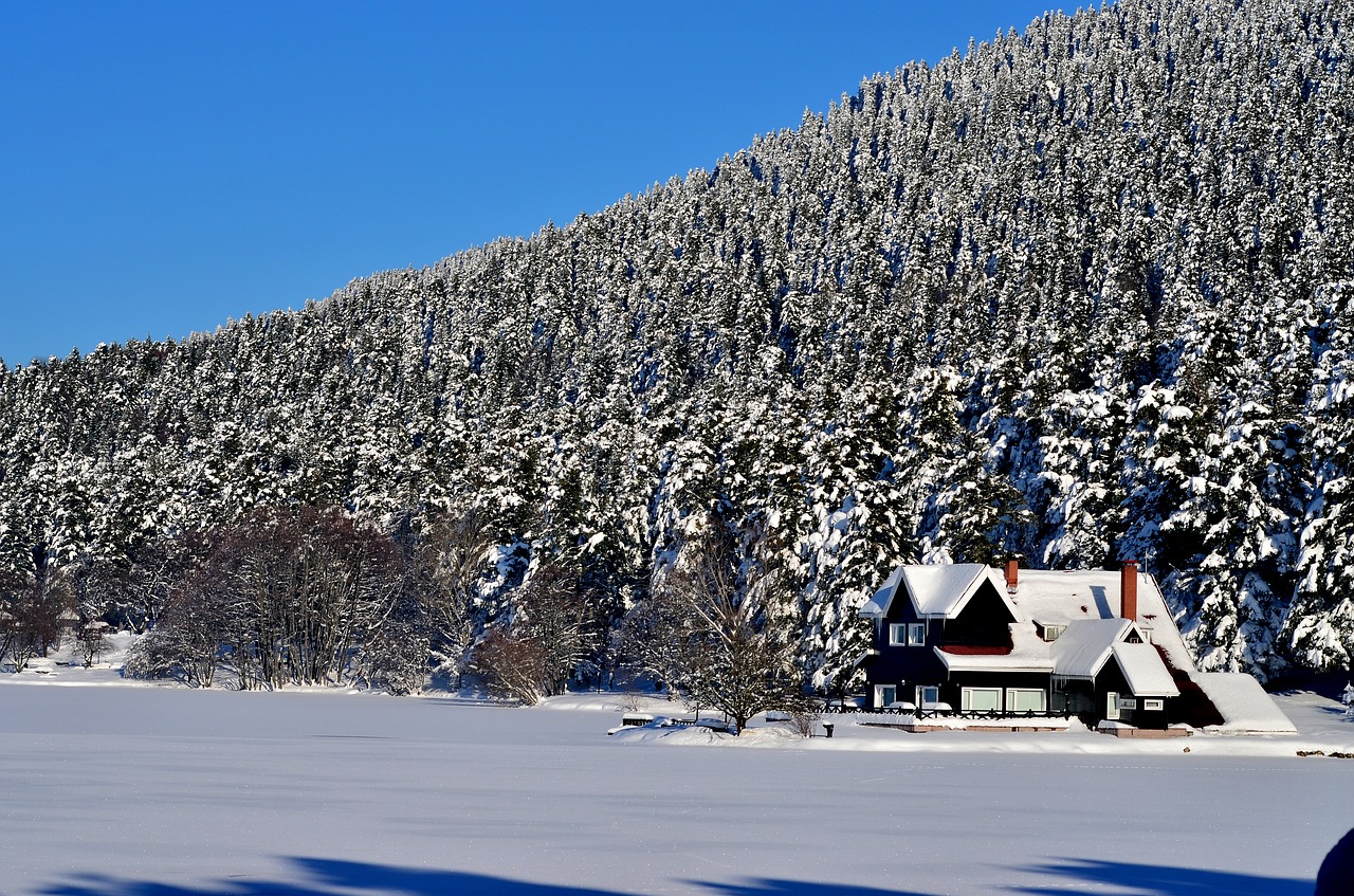 winter snow snow landscape free photo